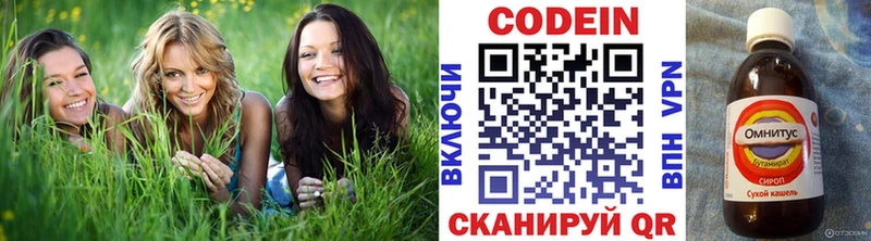 Codein напиток Lean (лин)  где купить   hydra ссылки  Палласовка 
